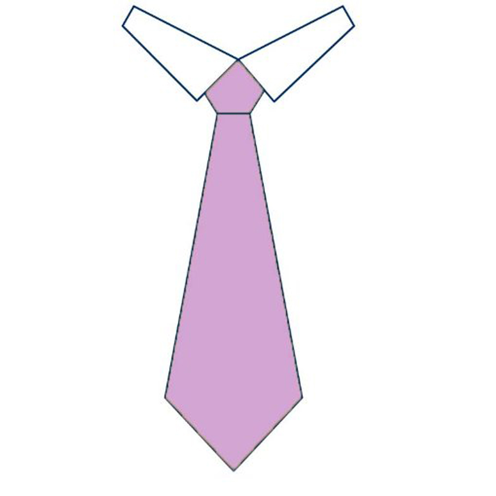 Cravatta da donna per il lavoro. Personalizzabile con il tuo logo
