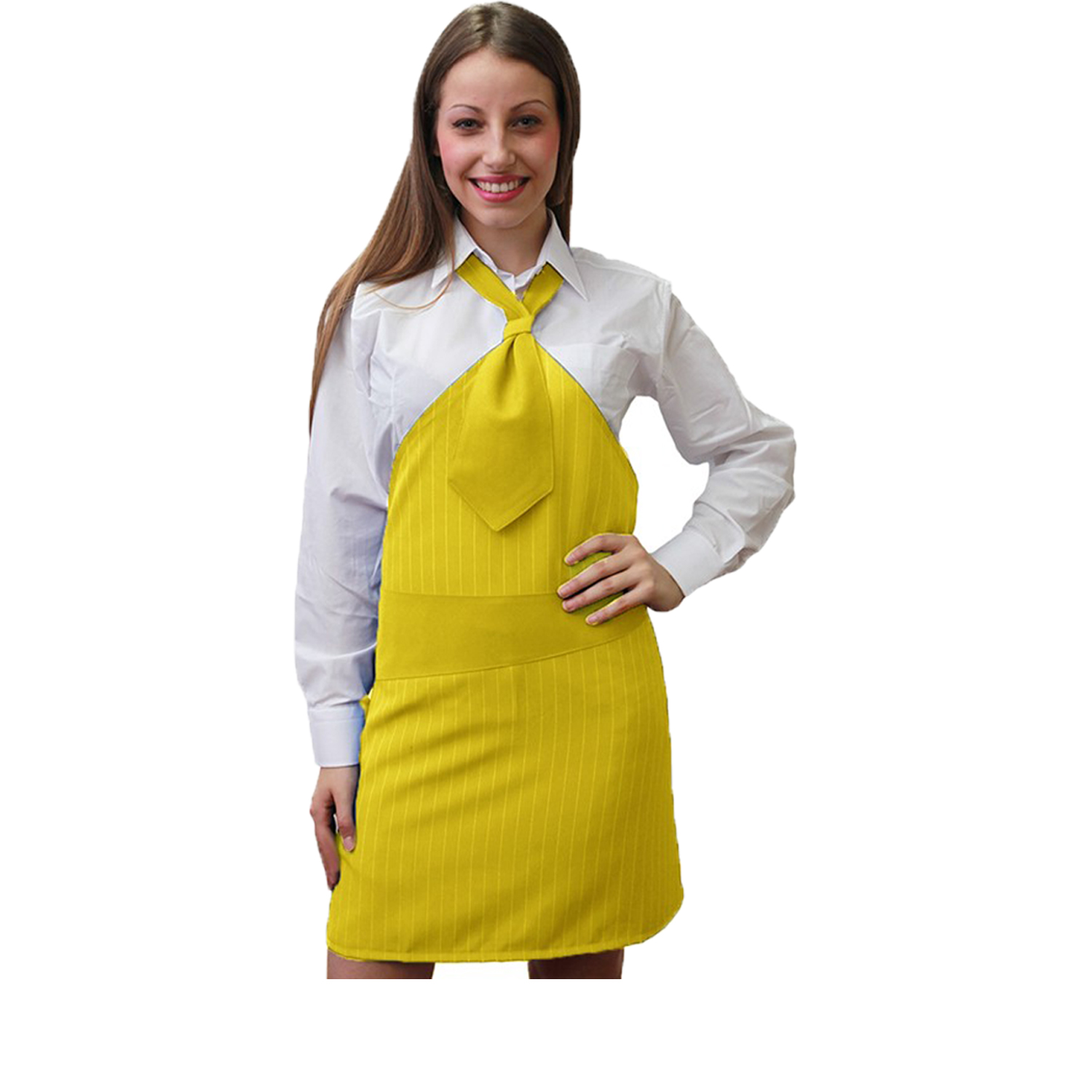 Grembiule da donna elegante dragon gessato. Personalizzabile con il tuo logo