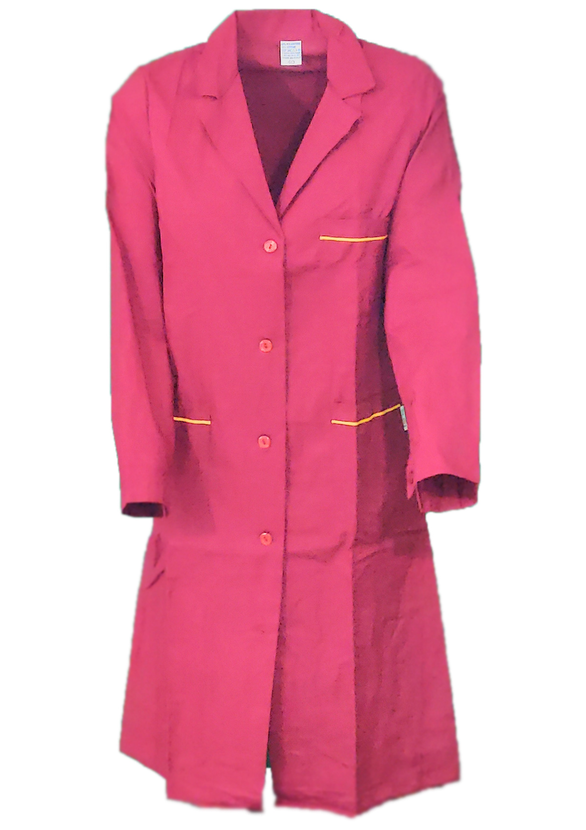 Camice da donna professionale. Personalizzabile con il tuo logo